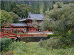 Farm