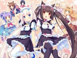 Quel Neko Est Tu ? 