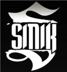 Sinik En Concert Privé A Saint-Herblain, Collège A