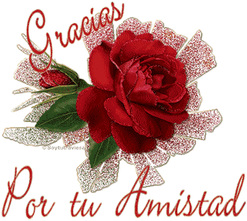 GRACIAS POR TU AMISTAD