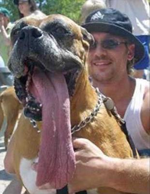 Are You Lickable?