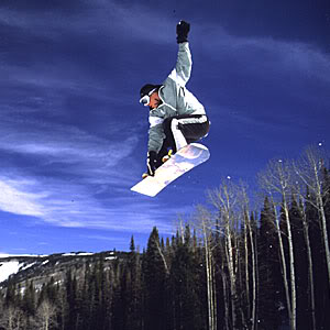 Which Winter Sport Do U Like?