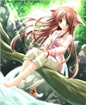 Neko Gifterz!!