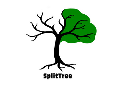 Best Looking In Splittree 2012