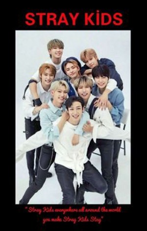 Hangi stray kids üyesinin ideal tipisin?