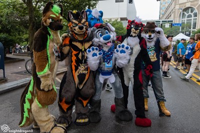 Seberapa Furry kamu