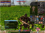Which One Knight Online Class?