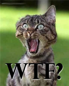 Test Wtf.