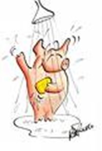 Shower Test 