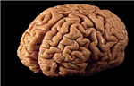 Are You Smart Today?