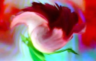FLOWER DIGITAL ART BY SHANE L MILLER