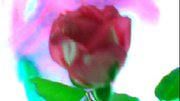 FLOWER DIGITAL ART BY SHANE L MILLER