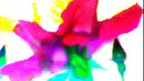 FLOWER DIGITAL ART BY SHANE L MILLER