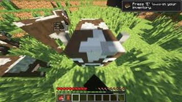 Minecrfat Test