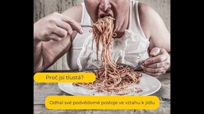 Jsi Tlustá 