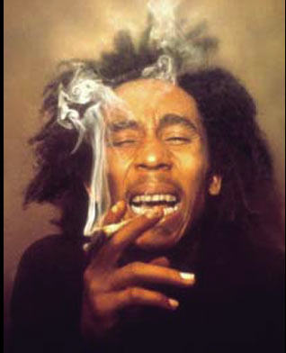 Are You High