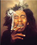 Are You High