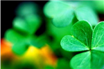 Lucky Or Not?