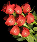 Adorable Roses