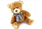 Orvin Bears