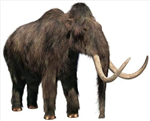 Na Kolko % Si Dnes Mamut?