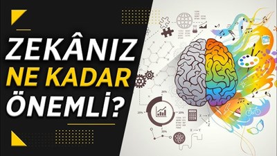 Ne Kadar Zekisin Testi