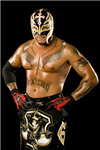 Smackdown Anketi