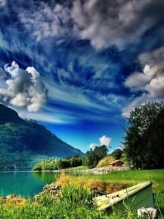 Dreamm N Reality