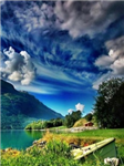 Dreamm N Reality