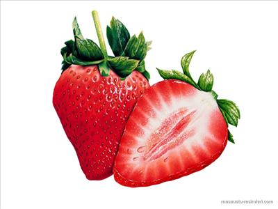 Which Fruit Are You?
