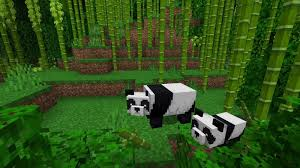 Hangi Minecraft Karakterisin