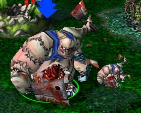 What Kind Of Hero Are You In Dota?