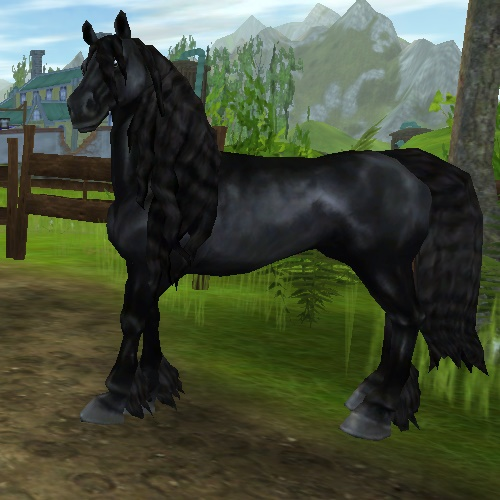 Quel Race De Cheval Est Tu-Sso