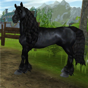 Quel Race De Cheval Est Tu-Sso