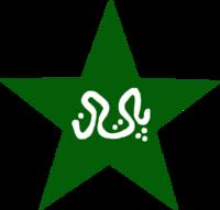Pakistan Cricket Team Or India Cricket Team?