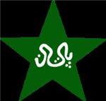 Pakistan Cricket Team Or India Cricket Team?