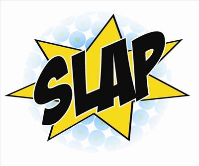 Slap Or Kiss?