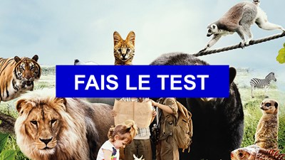 Quel Animal Est Tu 