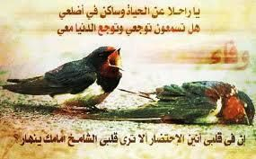 lawlaw
