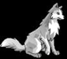 What Wolf R U?