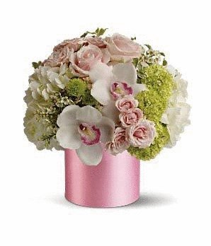 flores