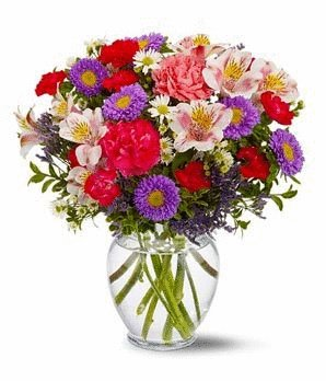 flores