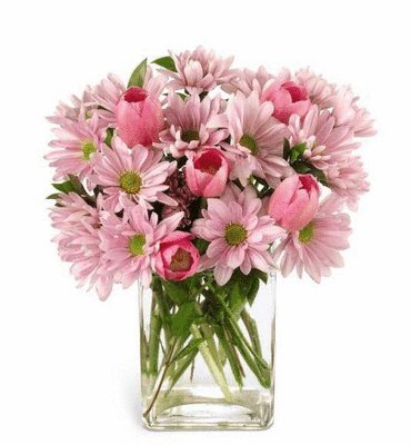 flores