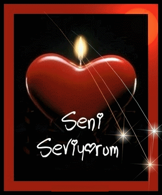 Sevgi Testi