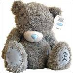 What Teddy Are You?