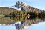 Animated Reflection