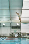 What Trick Off The Dives Are You?