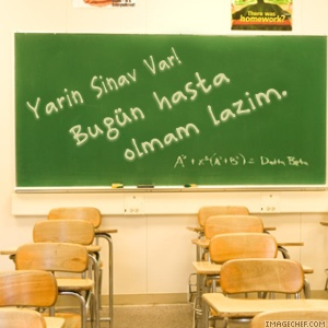 Tembel Misin? Çalışkan Mı?