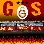 Bence Güsel Bir Anket