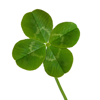 Are You Lucky Today??
